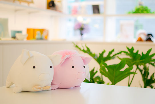 写真：ヴェスパの様子